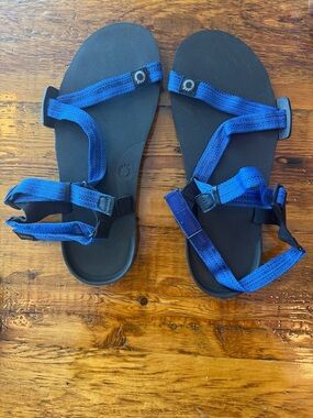 Men's Athletic Sandals with Blue Webbing Straps